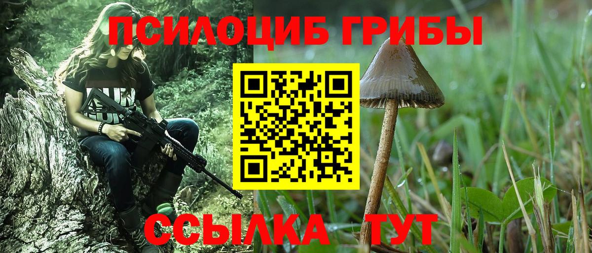 Галлюциногенные грибы Psilocybe Кыштым